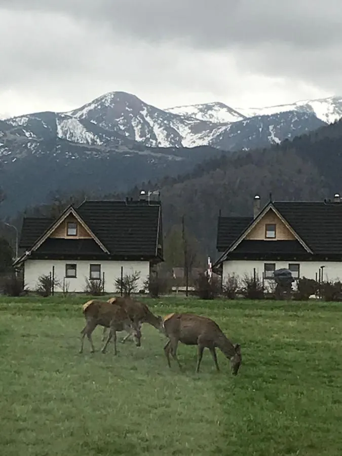 Willa Skoczek: Two-Room Apartment with Shared Bathrooms and Thermal Spa Access Zakopane