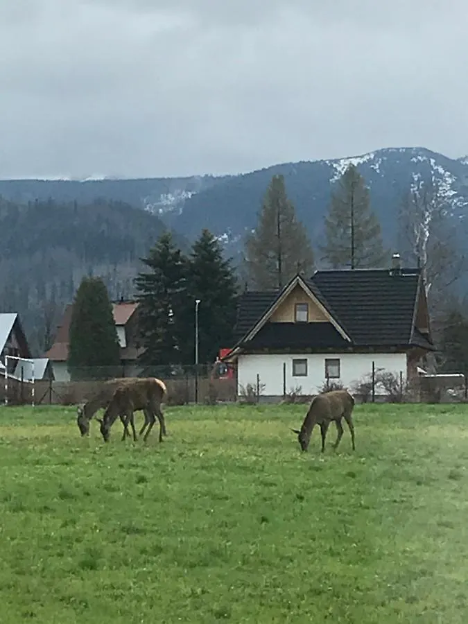Willa Skoczek: Two-Room Apartment with Shared Bathrooms and Thermal Spa Access Zakopane