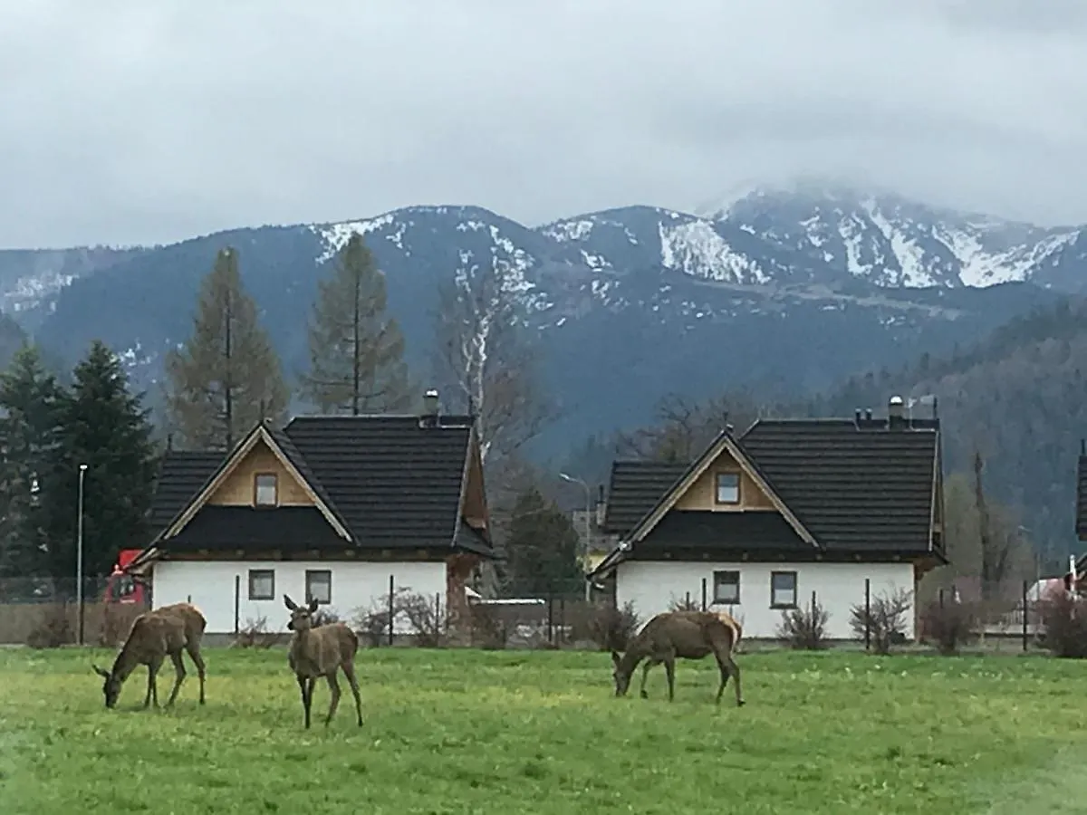 Willa Skoczek: Two-Room Apartment with Shared Bathrooms and Thermal Spa Access Zakopane